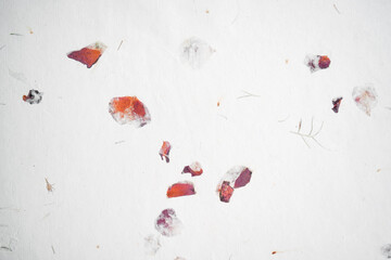 Handmade paper with pressed rose petals and leaves.Textured paper with natural fiber layers.    