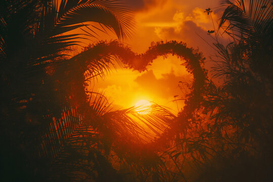 Valentine in the forest