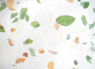 Handmade paper with pressed leaves and flower petals. Textured paper with natural fiber layers.                - 741156447