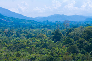 Fototapeta na wymiar Mountain in Central Borneo Tropical Forest