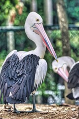 Port Douglas, Queensland, Australia