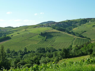 landscape with hills