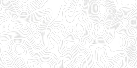 The stylized height of the topographic map contour in lines and contours isolated on transparent. Black and white topography contour lines map isolated on white background.