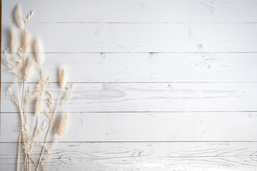 Vintage style flatlay of pastel natural colored, beige, and pink foxtail on a white wooden backdrop with space for text. Spring and Autumn inspiration