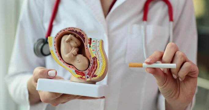 Harm of smoking and pregnancy and cigarette in hands of gynecologist