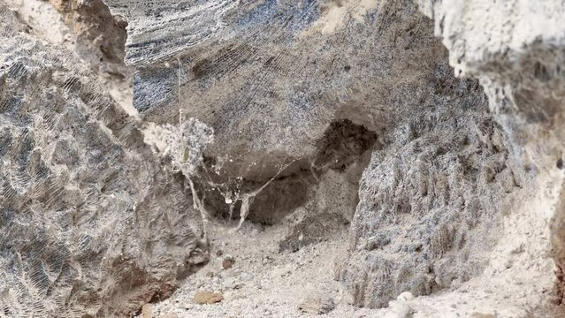 Telara&ntilde;as en el cemento