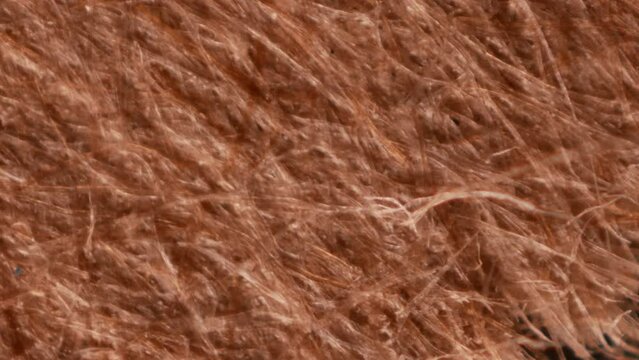 Paper background for intro or outro. Kraft paper under a microscope. Secondary raw materials. Recycling