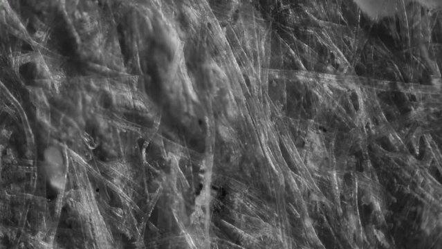 Kraft ecofriendly paper under a microscope. 100x magnification. Wood fibers, untreated. Production of cardboard and packaging products