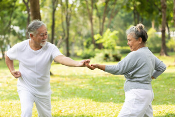 asian senior couple workout and practice tai chi in the park