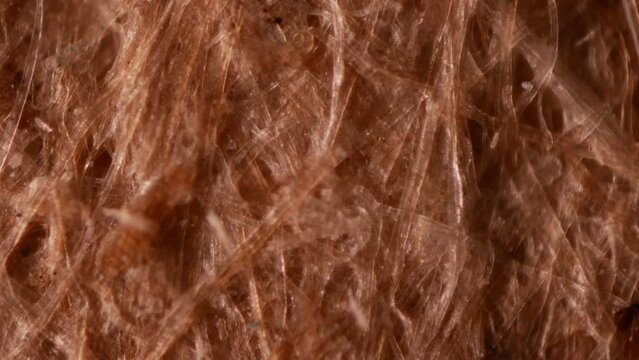Kraft ecofriendly paper under a microscope. 100x magnification. Wood fibers, untreated. Production of cardboard and packaging products
