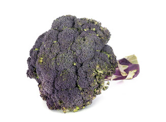 purple broccoli in studio