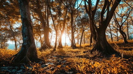 The image captures a forest scene with sunlight streaming through the trees, creating a warm, golden atmosphere. Tall trees with textured bark and sprawling roots dominate the foreground and backgroun