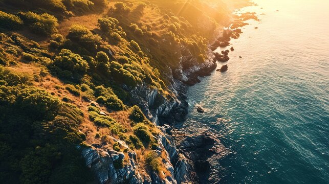 The image displays a sweeping aerial view of a coastal landscape during what appears to be either sunrise or sunset. The warm sunlight bathes the scene, highlighting the rich textures and contours of 