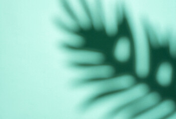 Shadows from palm leaves