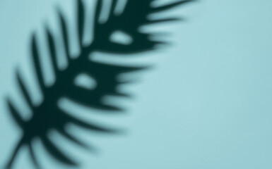Abstract Shadow of a Tropical Leaf on a Light Blue Background in Soft Focus