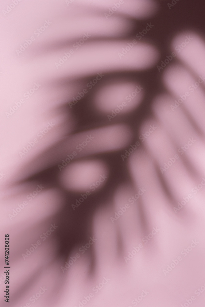 Poster blurred palm fronds in soft light creating a dreamlike pattern