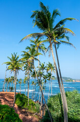 Beautiful Indian Ocean coastline on the island of Sri Lanka, Mirissa.