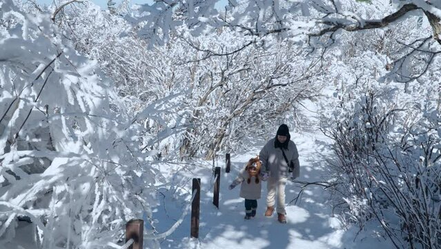 Toddler Girl With Korean Mother  Walks Towards Camera on Winter Trail in Snow-Covered Balwangsan Mountain Top Mona Park, Gangwon-do, South Korea - crane shot