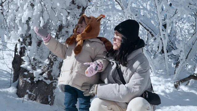 Mother With Daughter Explore in Snow-Capped Balwangsan Mountain Mona Park. Child Touching Frozen Snow on Tree Branch