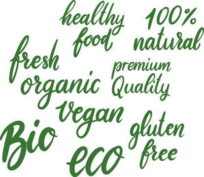Set of hand drawn lettering with organic food, eco food, fresh, natural, gluten free, bio food. Vector design element