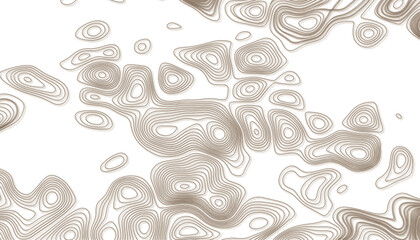 Background of the topographic map. Topographic map line. 