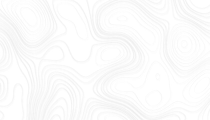 Contour background. Geographic abstract grid. Topographic map lines. vector illustration.