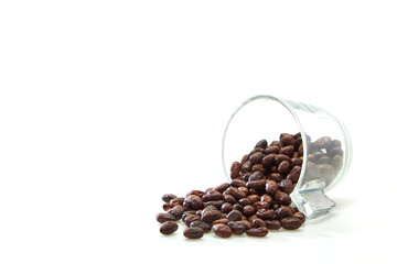 Dried roasted cocoa beans in a glass on a white background