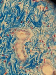 Microscopic Images of Tissues Showing Detailed Cellular Structures