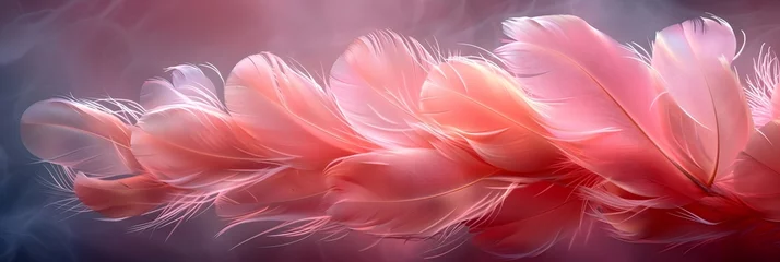 Foto op Plexiglas  close up  de plumas color rosa en un fondo obscuro. Banner © Alejandra