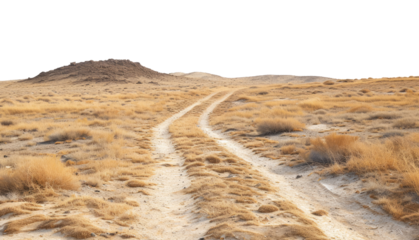Desert landscape with road isolated on transparent background