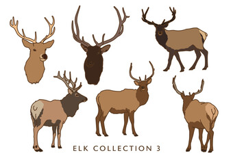 Elk Illustration Set (Different Poses) - In Color!