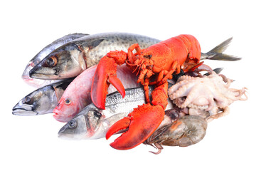 Seafood on a white background isolated