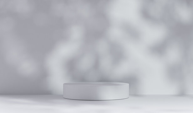 exhibition podium ,background studio with leaves shadow on the wall, stand, empty room with shadows of window. backdrop presentation and branding products display scene sunlight, postcard. 3d render
