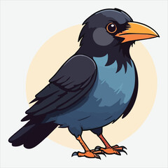 vector crow bird
