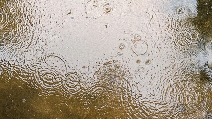 Rain, a puddle with raindrops on the surface