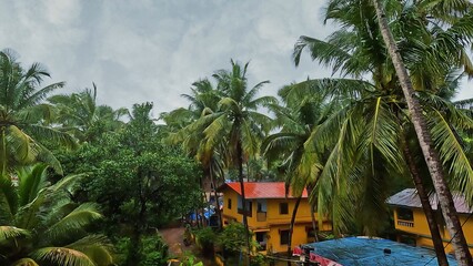 Palm tree and village on the tropical rain