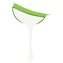 Aloe Vera Illustration