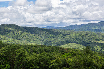 View of the forest from the top of the mountain, Thailand.