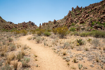 The Arid and Rugged Terrain of Big Bend National Park, in southwest Texas