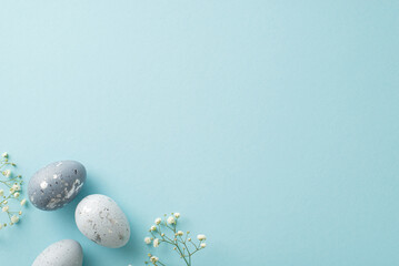 Easter essence captured: Top view of slate grey eggs, and white gypsophila blooms gracefully positioned on a sky blue backdrop, with space for messages or advertising