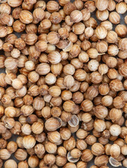 Whole coriander seeds, full frame close-up with selective focus