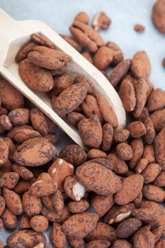 Sunflower seeds dusted with cocoa for a delicious and healthy snack. On mottled grey with wooden scoop