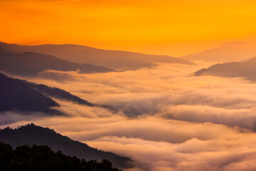 summer foggy scenery, scenic sunset view in the mountains