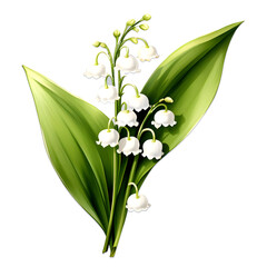 Spring bouquet of lily of the valley flowers, green leaves, and lily flowers. The image is isolated on a white background. For Mother's Day cards, birthday cards, wedding invitations