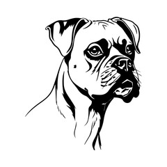 Boxer dog portrait vector illustration