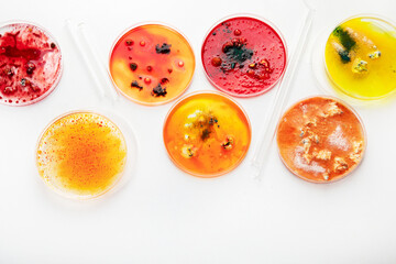 Background with laboratory petri dish. Microbiology science