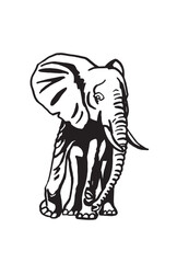 Graphical elephant walking on white background, vector illustration	