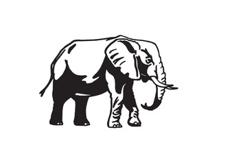 Graphical elephant walking on white background, vector illustration	