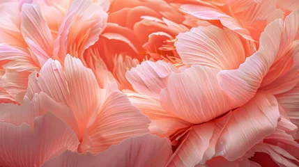 Foto op Plexiglas Beautiful floral background. Aesthetics, minimalism, single flower close-up. Floral background for advertising, cards, weddings, wallpaper. © Jools_art