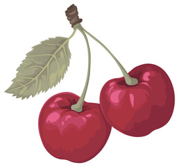 cherry or sweet cherry without background